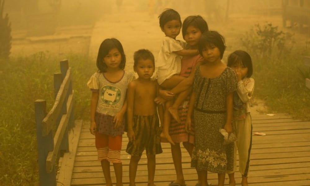 印尼霧霾造成十萬條人命誰負責？除了「火耕」還有複雜的棕櫚油供應鏈