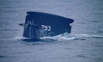 Taiwan’s Subs to Get US-Made Mk-48 Torpedoes: Report