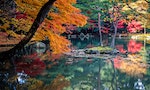 最名副其實的靈異景點：京都的「池」其實很可怕