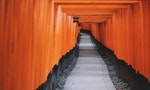 由在地人引路的靜謐京都之旅