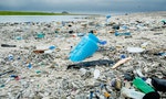 Real Solutions for Plastic Problems
