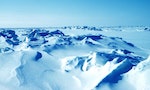 「偉大航道」的追尋：探險家與掠奪者的千年北極史詩