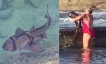 澳洲婦人徒手抱鯊魚送回大海