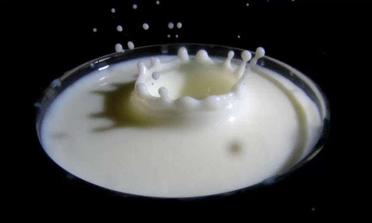 《口感科學》：質地變化萬千的牛乳——奶油、發酵乳製品與乳酪