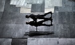 THE_GREAT_TAMER_by_Dimitris_Papaioannou_