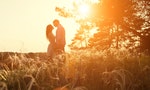 young couple kissing on the background of a sunset in the field