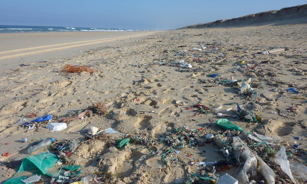 beach-sea-coast-waste-trash-pollution-56