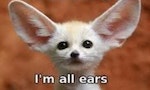「I’m all ears.」想表達的是什麼？認識用身體部位表達的英文用語