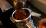 咖啡裡的草酸和咖啡因，會讓人骨質疏鬆嗎？