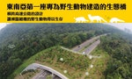 【插畫】新加坡為野生動物建造生態橋，苗栗還在「拼經濟」？