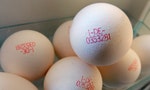 避免蛋商「售後不理」， 歐盟每一顆蛋都印有「身分證字號」