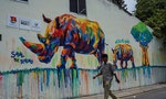 Graffiti Campain Brings Rhino Conservation Message to Urban Vietnam
