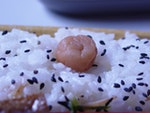 Umeboshi_on_rice_topped_with_sesame_by_t