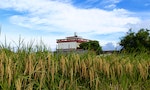 PHOTO STORY: Sustainable Grain Cropping and 'Adopting' a Paddy Field on Taiwan's Northeast Coast