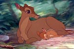bambi-mother