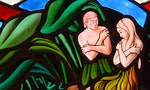 《神與性》：性、性別與家庭價值，聖經究竟怎麼說？
