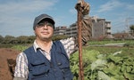 飲食隨手可得是一件多麼可貴的事——東京農業職人給我們的食育啟示