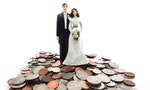 Plastic wedding couple on a pile of coins - money concept                               