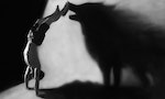 Photomanipulation - handstand in studio with wolf shadow
