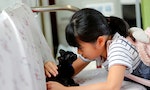 【圖輯】日本「貓咪Cafe列車」大受歡迎，冀鼓勵更多人領養流浪貓