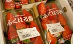 日本核災區食品解禁？衛福部報告：用4大配套與美國、歐盟同步