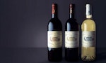 法國波爾多不是只產紅酒，這四大頂級白酒一樣出色