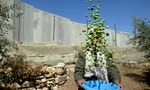 以色列成功蓋了高牆，仍無法阻絕邊境的難民潮