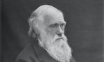 1878_Darwin_photo_by_Leonard_from_Woodal