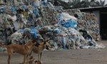 環保媒體：英國出口到馬來西亞的塑廢料，被發現遭任意棄置焚燒