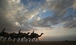 【書評】《黃金草原》：身兼史學家與旅行家的馬蘇第，讓我們看到阿拉伯視角的世界