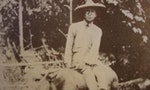 日治時期「台灣農民組合」為何集體不滿？為何導致沒落？
