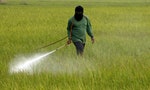 使用農藥化肥的慣行農法真的好嗎？有機專家指出三大疑慮