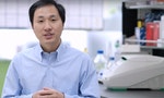 打開潘朵拉之盒：中國製造對愛滋免疫的「基因編輯嬰兒」，科學界為何震驚？