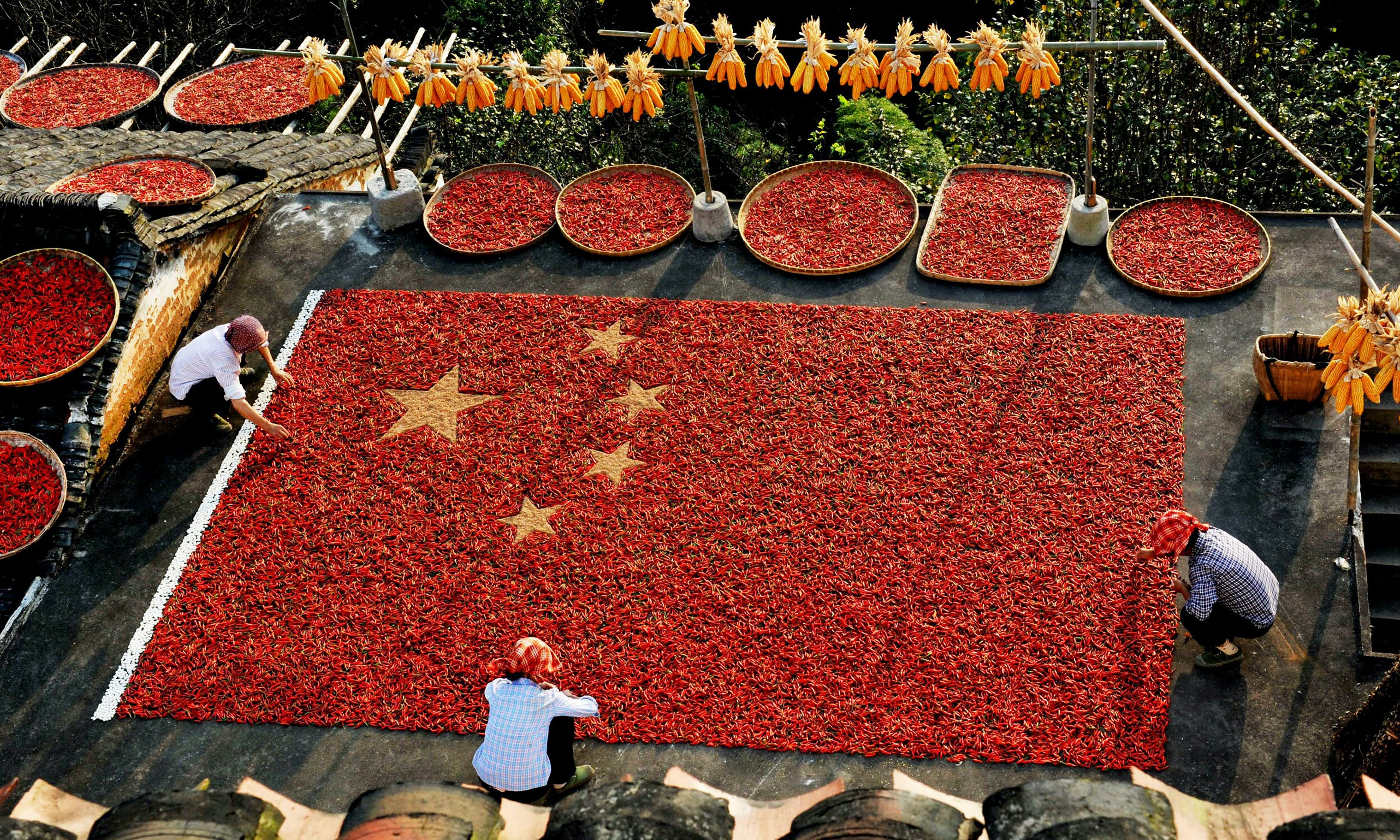 中國糧食系統貪腐狀況相對不嚴重，習近平為何下重手整肅？