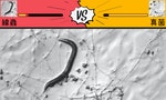 成為獵人或是獵物：線蟲 vs. 真菌的傳說對決