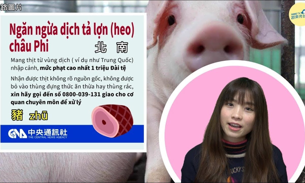 【影片】學會這10個常用越南語動物名稱，點「牛肉河粉」也用得到