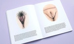 荷蘭插畫家以百張陰部插圖，打破「既純潔又粉紅」女性的想像
