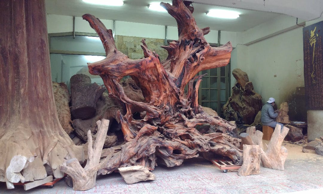 Contraband for Sale: How Poachers Supply Sanyi's Thriving Wood Art Market