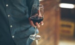 《酒的科學》：世界上的酒到底是怎麼從榖物或果實變酒精的？