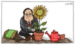 CARTOON: Sunflowers Bask in Judicial Blessing
