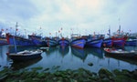 中國調整「伏季休漁制度」範圍覆蓋南海，越南抗議侵犯主權