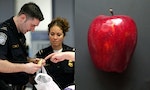 帶機上派發蘋果入境美國　女客遭罰款500美元