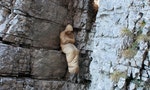 峭壁上的沈睡者：斯洛伐克藝術家用登山說自由的故事