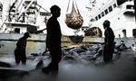 台灣遠洋漁首次獲列美國「強迫勞動製品清單」，未來出口將面對嚴格限制
