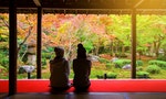 Japanese girls sit in Enkoji temple to see fall Japanese foliage, Momiji, garden in Kyoto, Japan. Here is Rinzai Zen Sect and very famous during Autumn.
