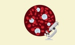 如何閱讀血常規檢查報告（下）︰白血球的幾個指數