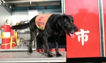 台北市消防局搜救犬