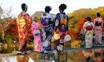 《和日本文豪一起遊京都》：什麼都賣的晨市，宛如未經開發的狩獵場