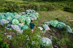 蘭嶼垃圾資源回收林正文環保蘭嶼