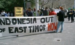 The Timor-Leste Tree: How East Timor Nearly Lost Its Illustrious Sandalwood